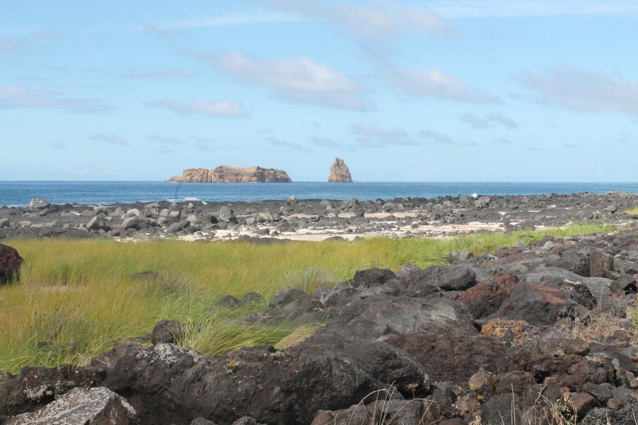 Vila Barca Madalena  Bagian luar foto